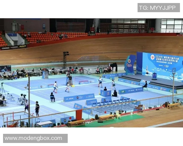 广州羽毛球队引领最新羽毛球技术TOP10探秘与分析